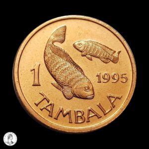 Malaui 1995 1 Támbala