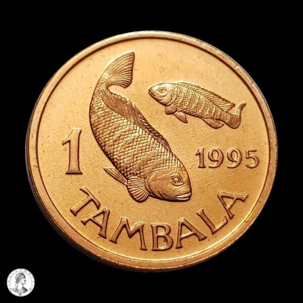Malaui 1995 1 Támbala