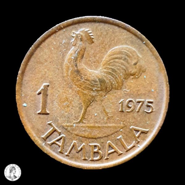 009244r Malawi 1975 1 Tambala