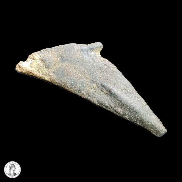 Tracia, Olbia S. VI-V A.C. Delfín