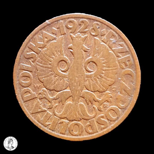 011318a Polonia 1928 5 Groszy