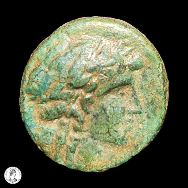 007380a Reyes Seléucidas Antíoco II, Theos (261-246 A.C.) AE 16