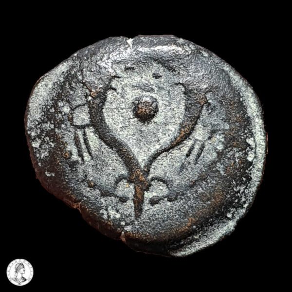 Reino De Judea Alejandro Janeo (104-76 A.C.) Prutah