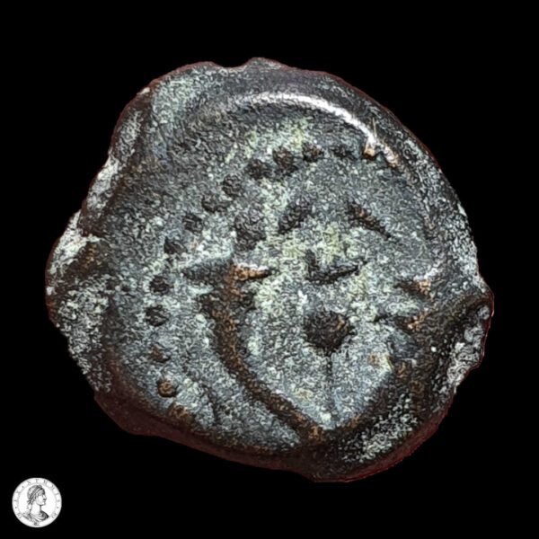 012491r Reino De Judea Alejandro Janeo (104-76 A.C.) Prutah