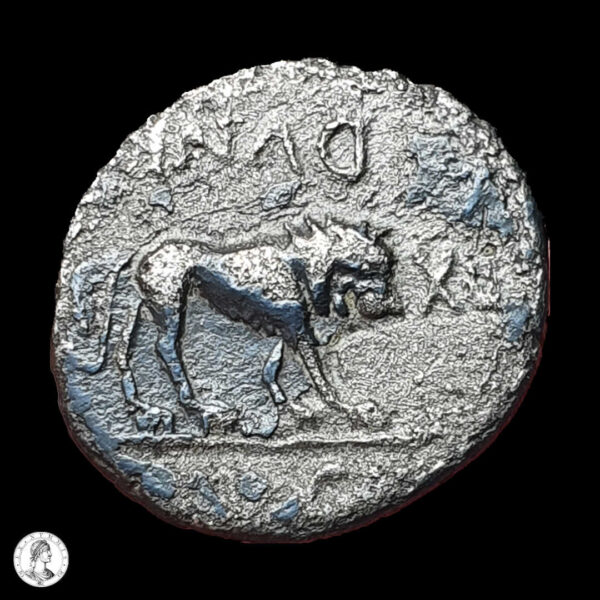 012874r República Romana Marco Antonio (44-30 A.C.) 43 a.C. Quinario
