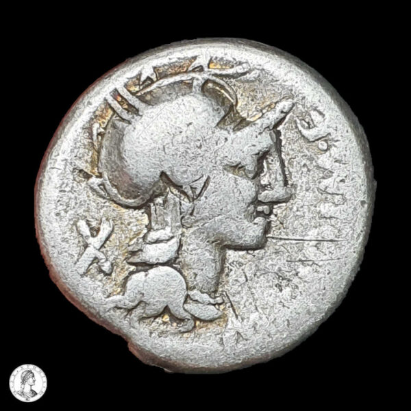 República Romana M. Cipius 115/4 a.C. Denario