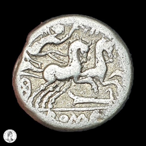 República Romana M. Cipius 115/4 a.C. Denario