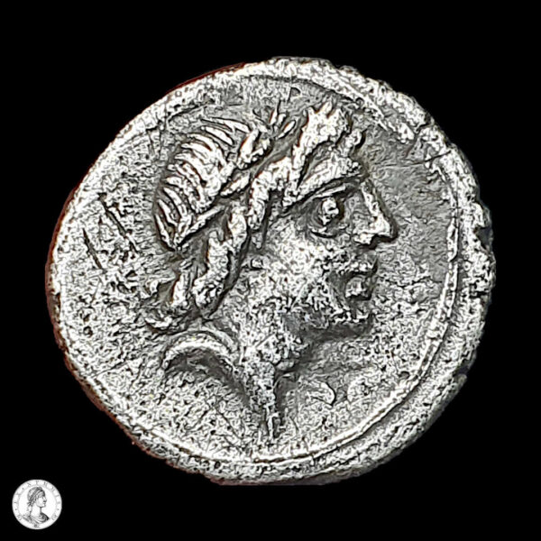 012883a República Romana Emisiones Anónimas 81 a.C AR Quinario