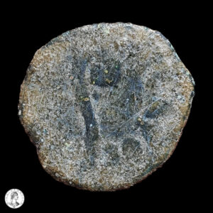 Procuradores De Judea Poncio Pilatos (26-36 D.C.) año 18 (31 d.C.) Prutah