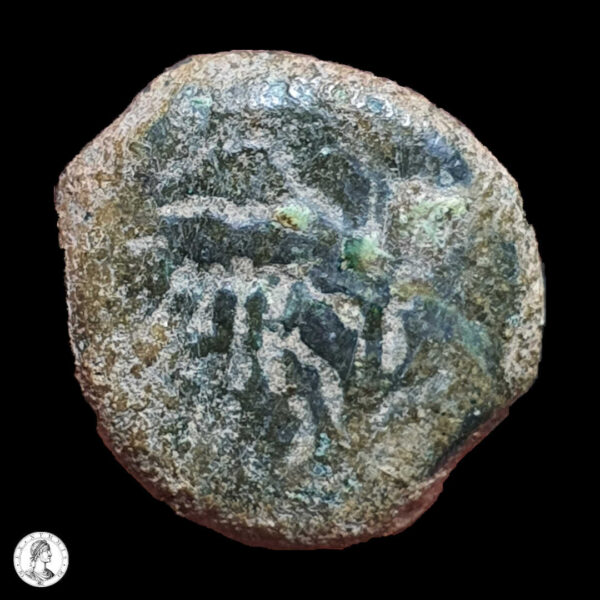 Procuradores De Judea Poncio Pilatos (26-36 D.C.) año 18 (31 d.C.) Prutah