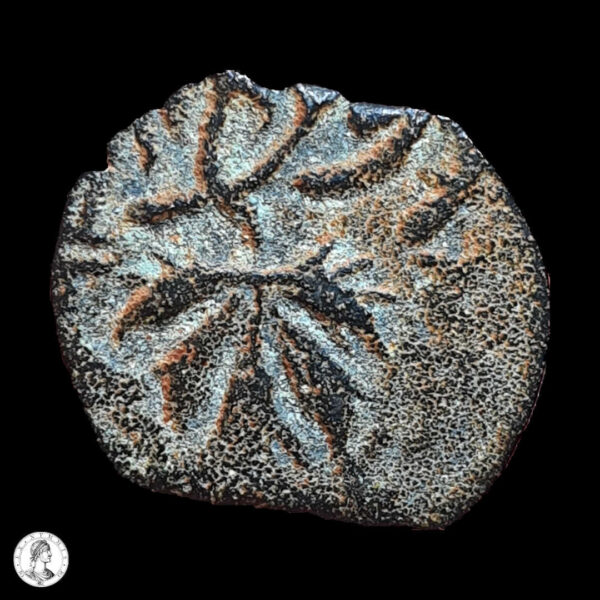 Judea Primera Revuelta Contra Roma (66-70 D.C.) año 2 (67/8 d.C.) Prutah