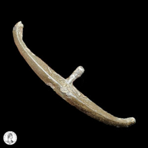 012496a Malasia E Indonesia Región De Perak, Selangor Y Palembang